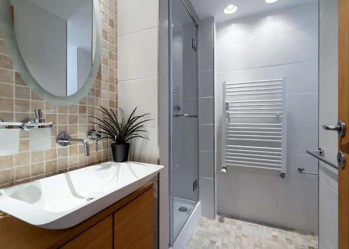 Cismigiu Park Elisabeta Apartment-ultra 公寓